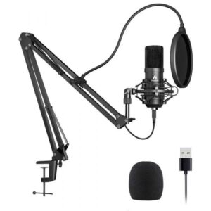 Microphone